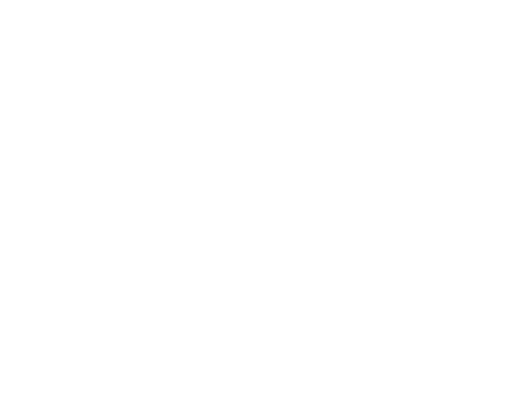 Hayes Storage & Flea Market Logo